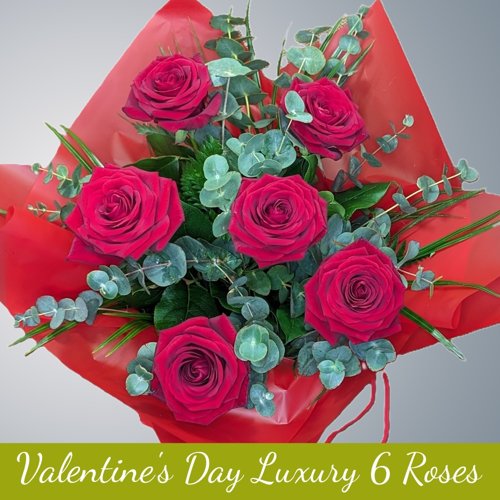 Six Luxurious Red Roses